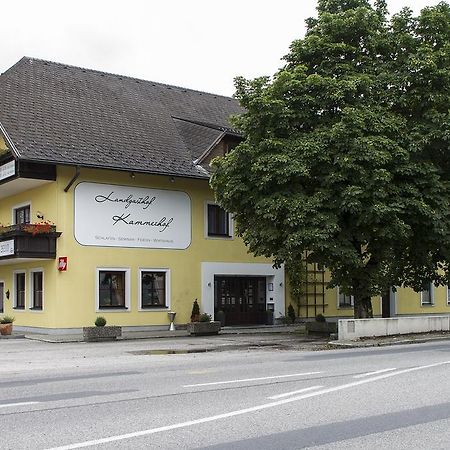 Landgasthof Kammerhof Hofstetten Екстер'єр фото